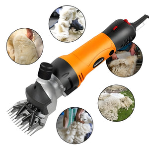 Tondeuse Électrique Professionnelle Pour Moutons 500W BE0068 – BEETRO
